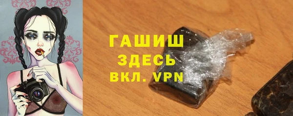 шишки Переславль-Залесский