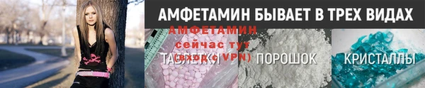 шишки Переславль-Залесский