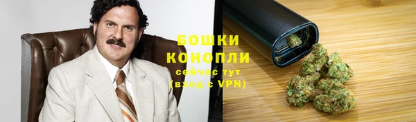 шишки Переславль-Залесский