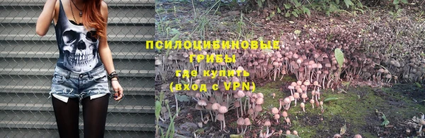 стафф Пестово