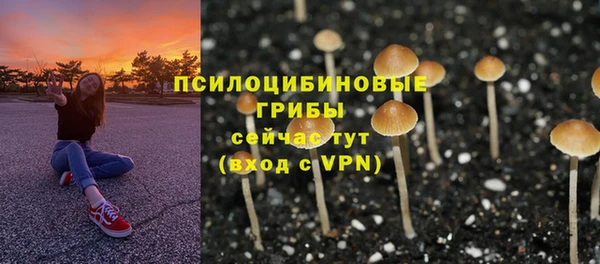 стафф Пестово
