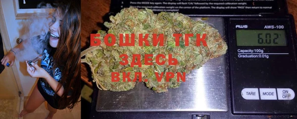 шишки Переславль-Залесский