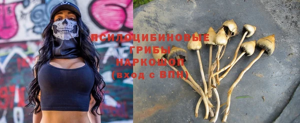 шишки Переславль-Залесский