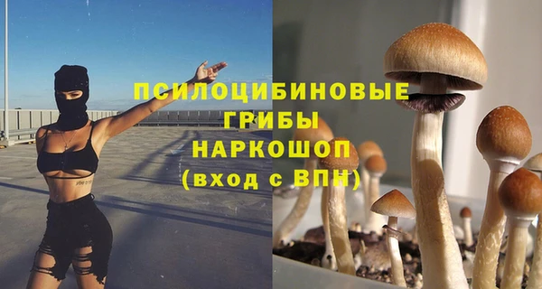 стафф Пестово