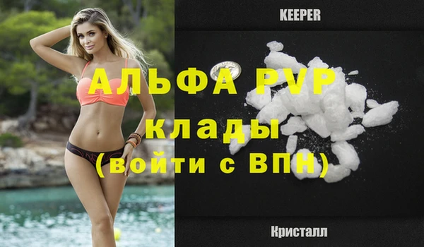 шишки Переславль-Залесский